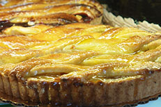 catalog